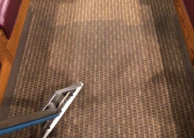 Carpet HP