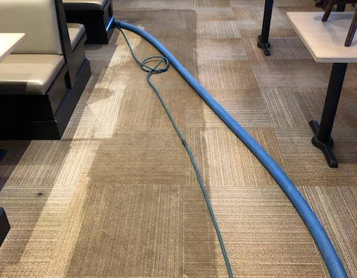 Clean vs dirty restaurant carpet Friday